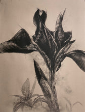 Load image into Gallery viewer, Warm air&#39;s gentle flow, contours of silk hugging curves
