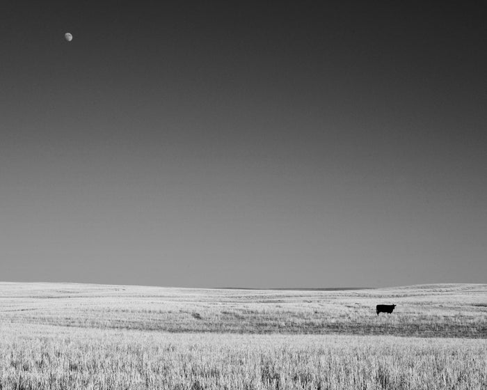God's Country 7