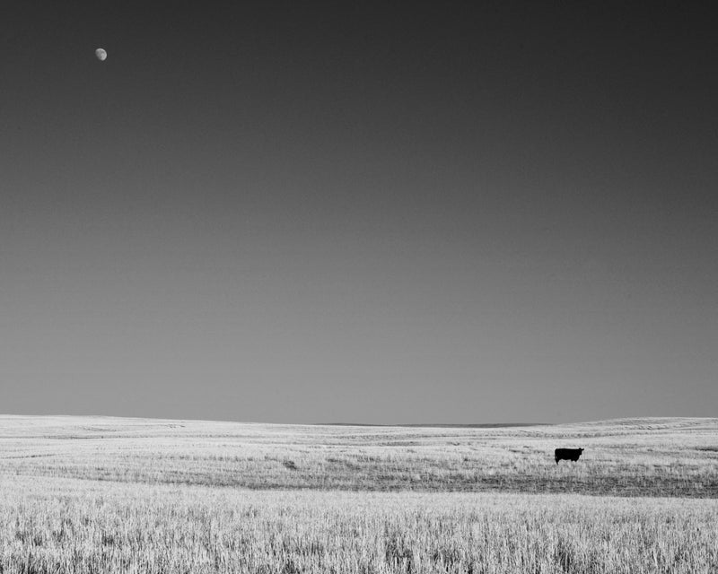 God's Country 7