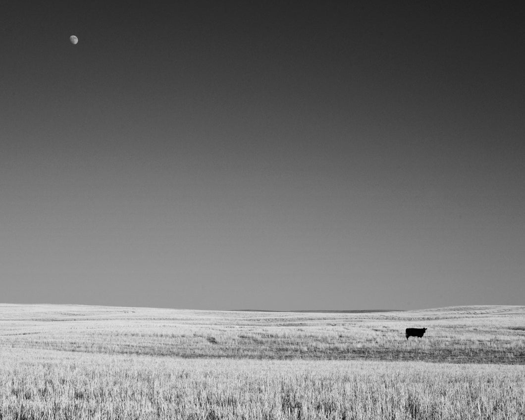God's Country 7