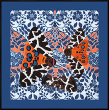 Load image into Gallery viewer, Tiger Moth
