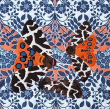 Load image into Gallery viewer, Tiger Moth
