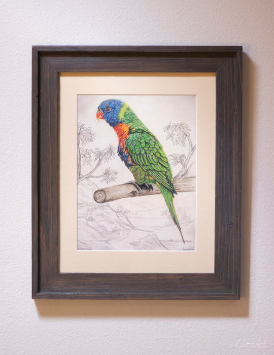 The Lorikeet