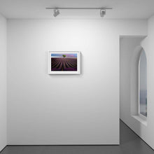 Load image into Gallery viewer, Lavender Field
