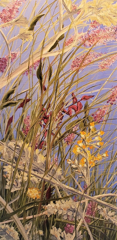 Summer Flowers in the Garden