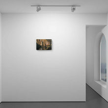 Load image into Gallery viewer, Canyon Lake
