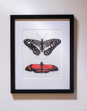 Load image into Gallery viewer, Butterfly Garden II
