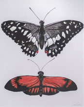 Load image into Gallery viewer, Butterfly Garden II
