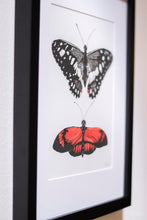 Load image into Gallery viewer, Butterfly Garden II
