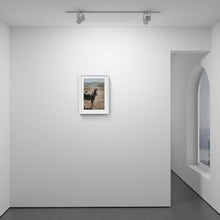 Load image into Gallery viewer, Tide
