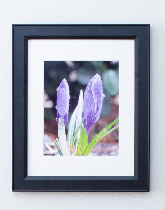 Spring Arrives in the Northwest