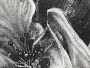 In a luscious folded petal, the inﬁnite universe exists