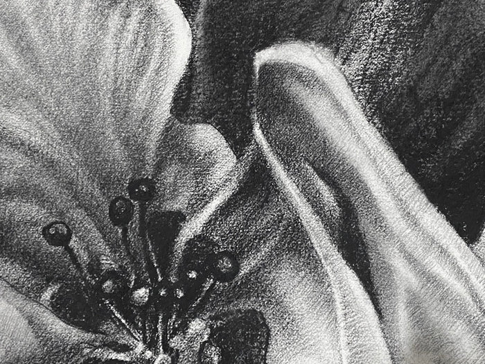 In a luscious folded petal, the inﬁnite universe exists
