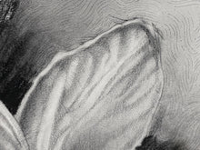 Load image into Gallery viewer, In a luscious folded petal, the inﬁnite universe exists
