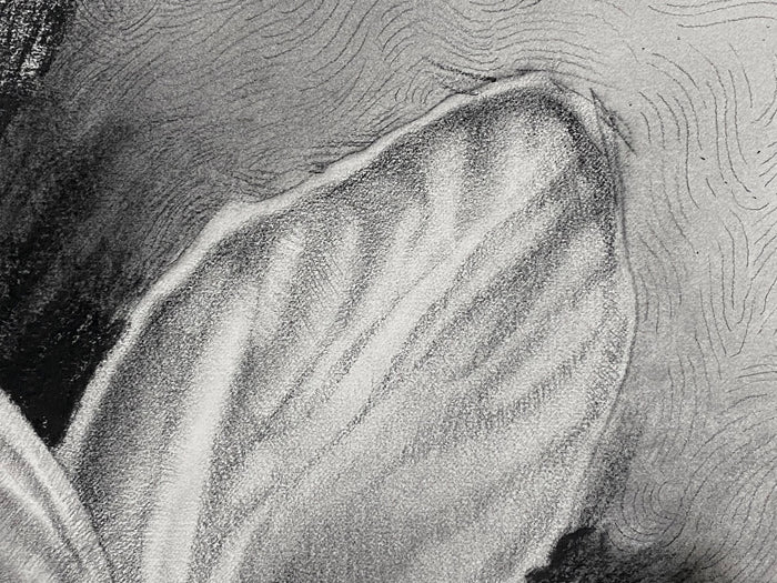 In a luscious folded petal, the inﬁnite universe exists