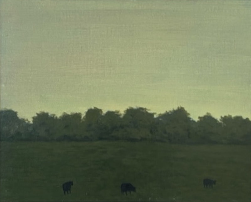 Summer Evening With Cows