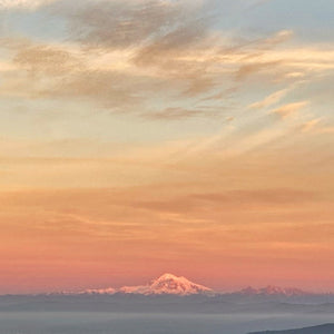 Belt of Venus