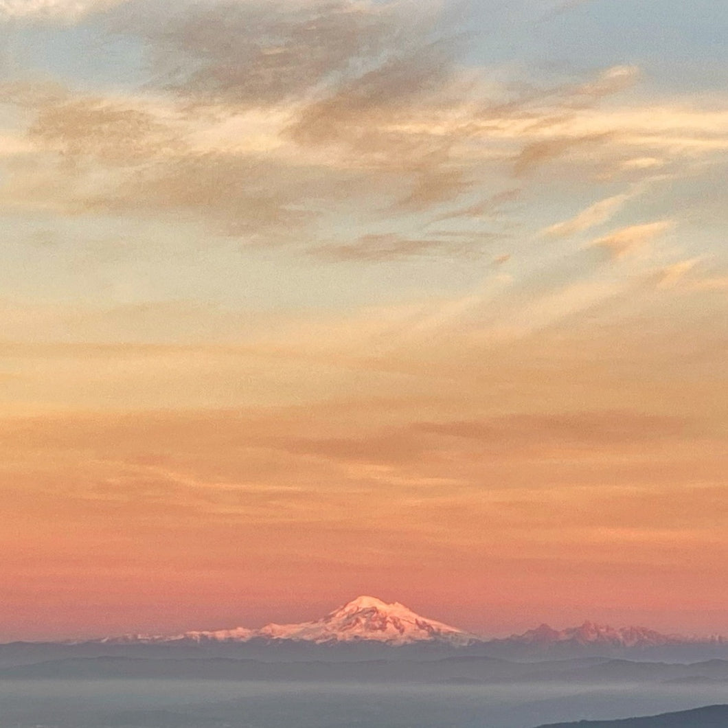Belt of Venus