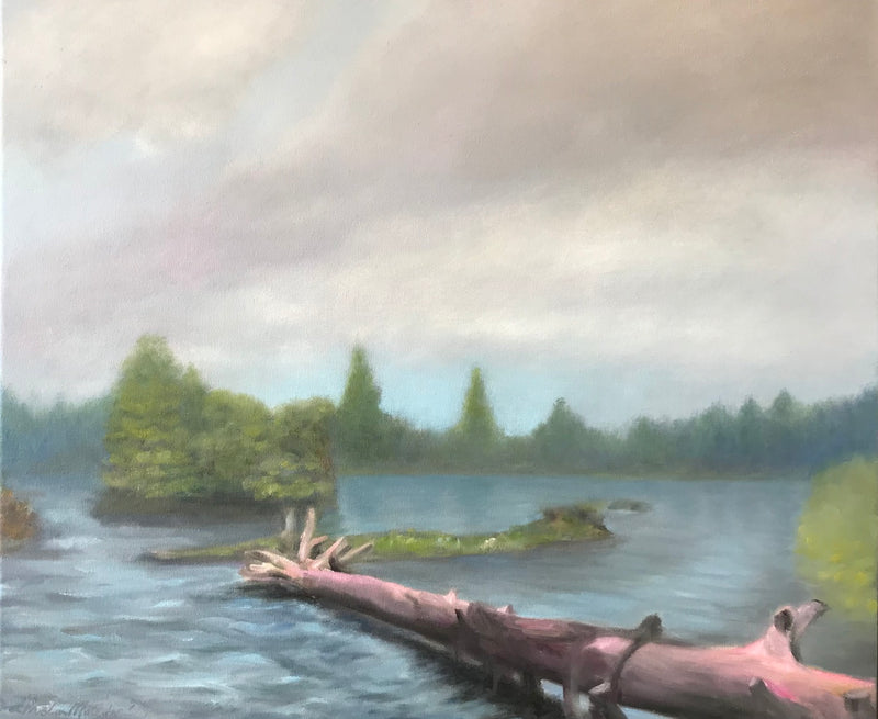 Saturday at Ron Regis Park