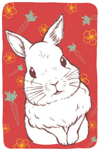 Load image into Gallery viewer, Rabbit
