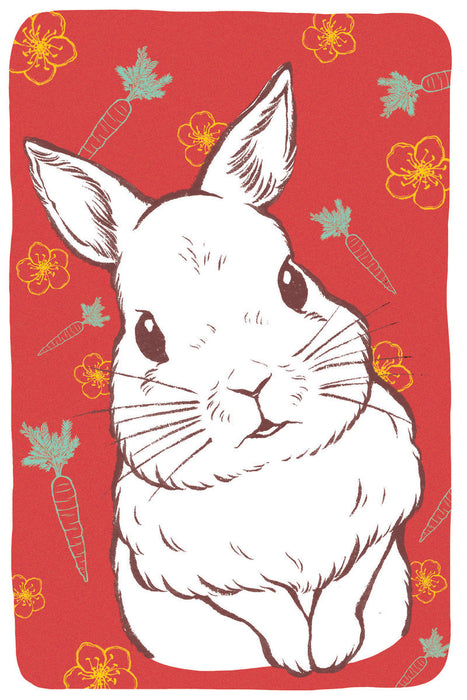 Rabbit