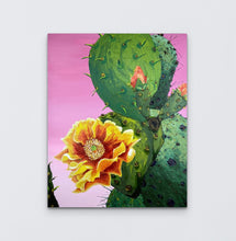 Load image into Gallery viewer, Texas Wonder
