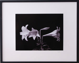 Lilies at Easter B/W