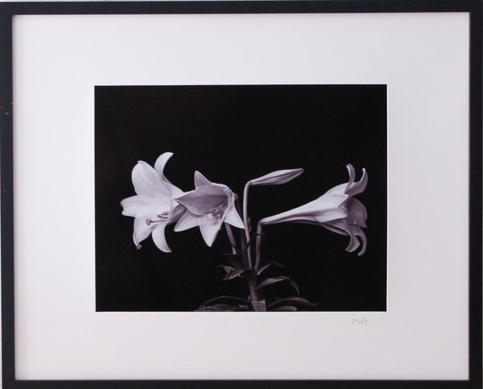 Lilies at Easter B/W