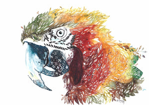 Macaw: Flora & Wind