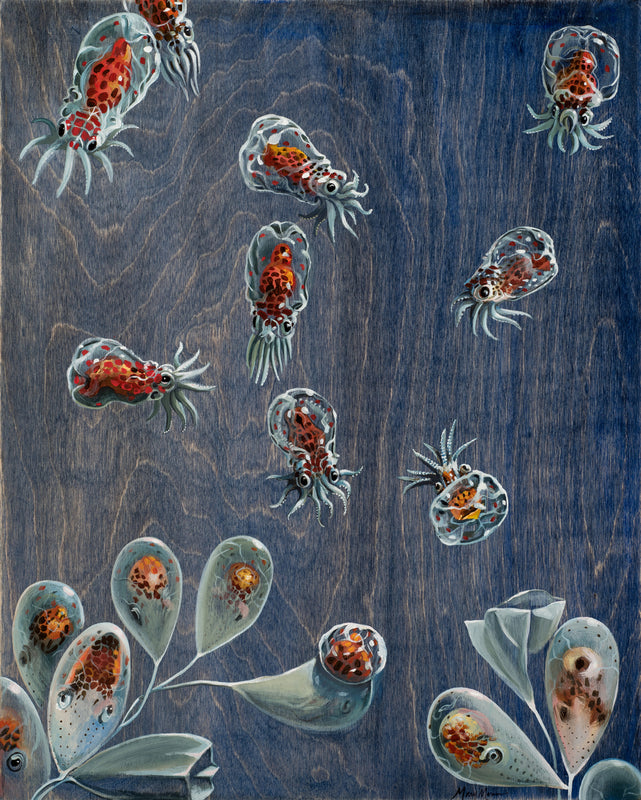 Octopodes