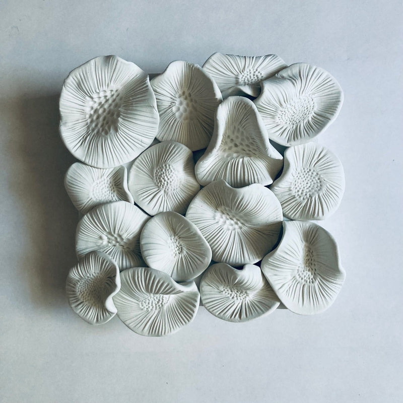 Forest Spores