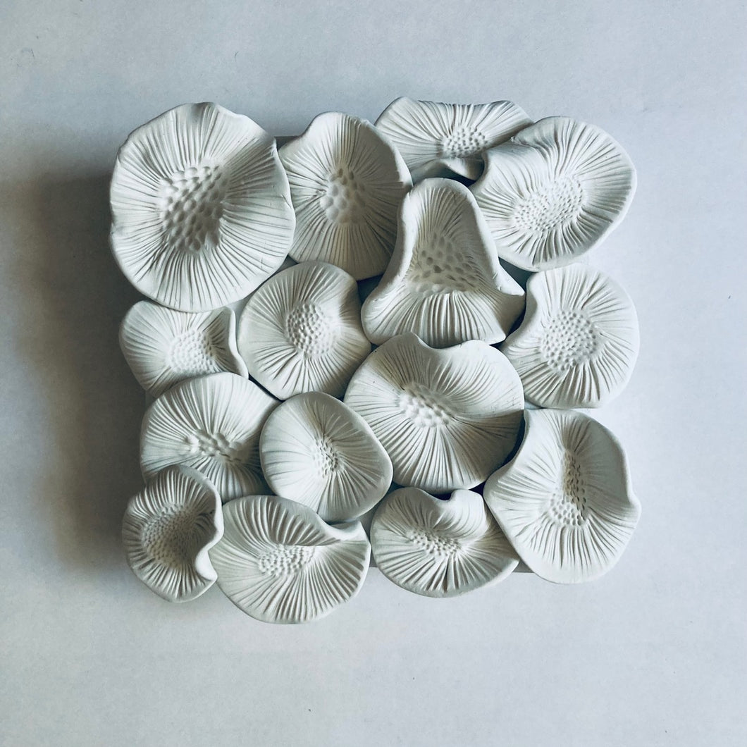 Forest Spores