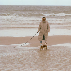 Winter dog walk. Norfolk