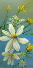 Load image into Gallery viewer, Sun splashing on tickweed (Coreopsis tinctoria)

