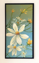 Load image into Gallery viewer, Sun splashing on tickweed (Coreopsis tinctoria)
