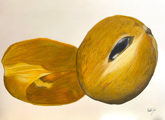 Sapodilla