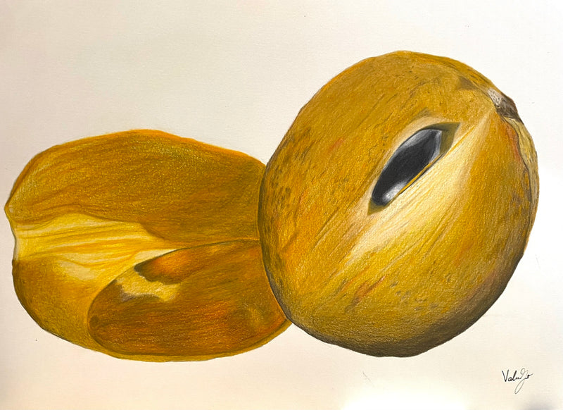 Sapodilla