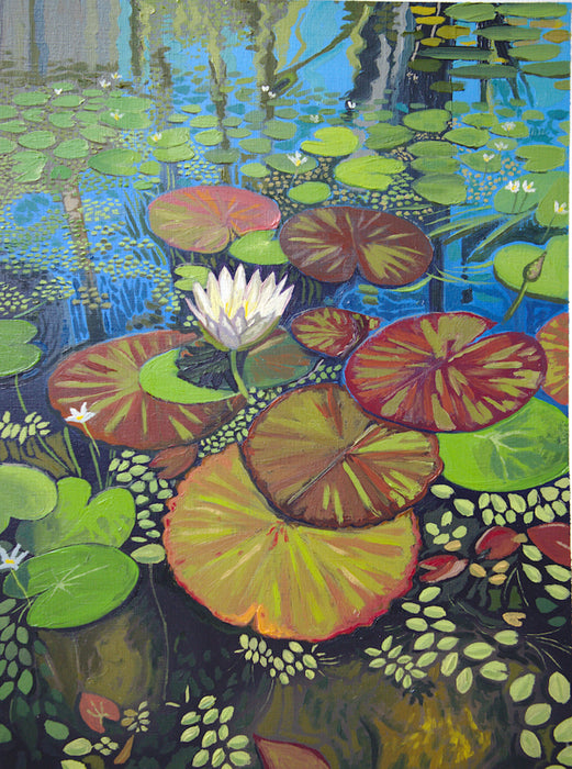 Vallarta Pond Lillies