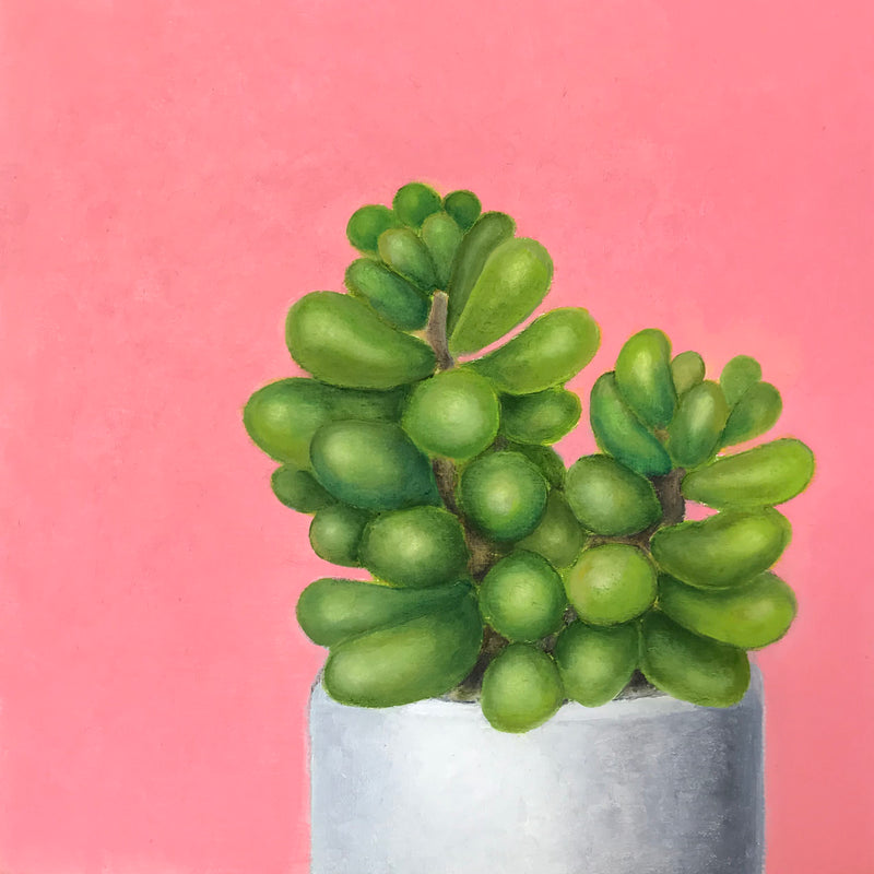 Plant Jellybeans
