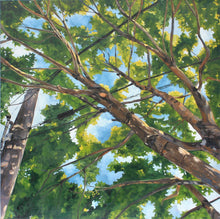 Load image into Gallery viewer, Look Up, Laurelhurst
