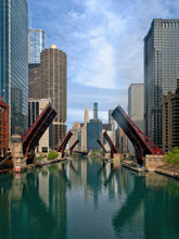 Load image into Gallery viewer, Bridges up
