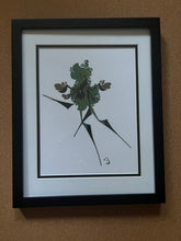 Load image into Gallery viewer, Flare Shine
