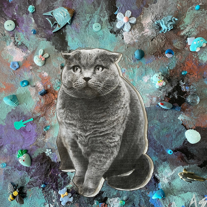 Do cats Dream of Flying Fish?