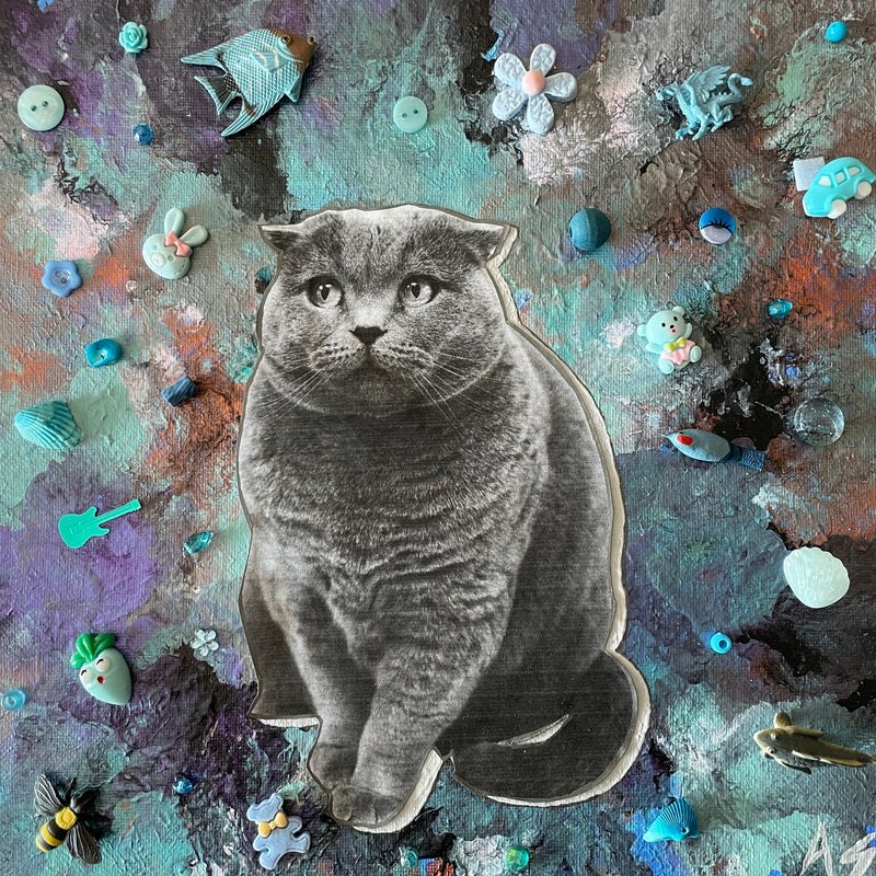 Do cats Dream of Flying Fish?