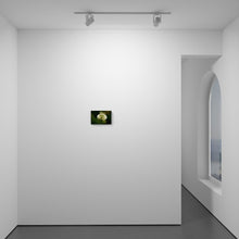 Load image into Gallery viewer, Clover Up Close
