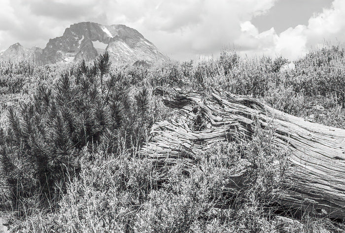 Grand Teton National Park