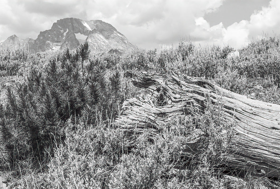 Grand Teton National Park