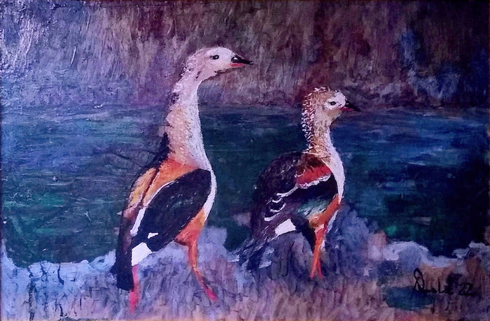 Pair Of African Orinoco Geese