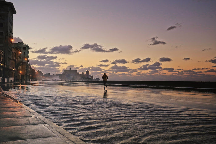 Malecon Avenida