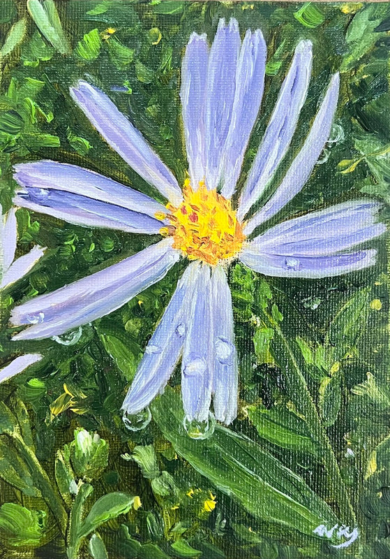 Rain Drops